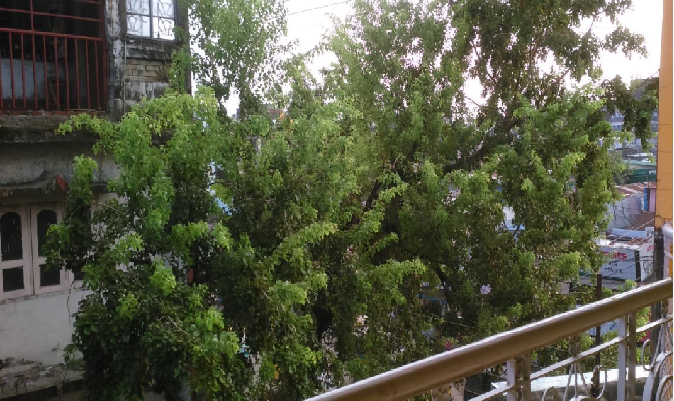 Pradhan hotel Mirik - Tap to explore photos