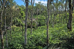 Octa Paradise Homestay Thekkady Anakkara, Thekkady