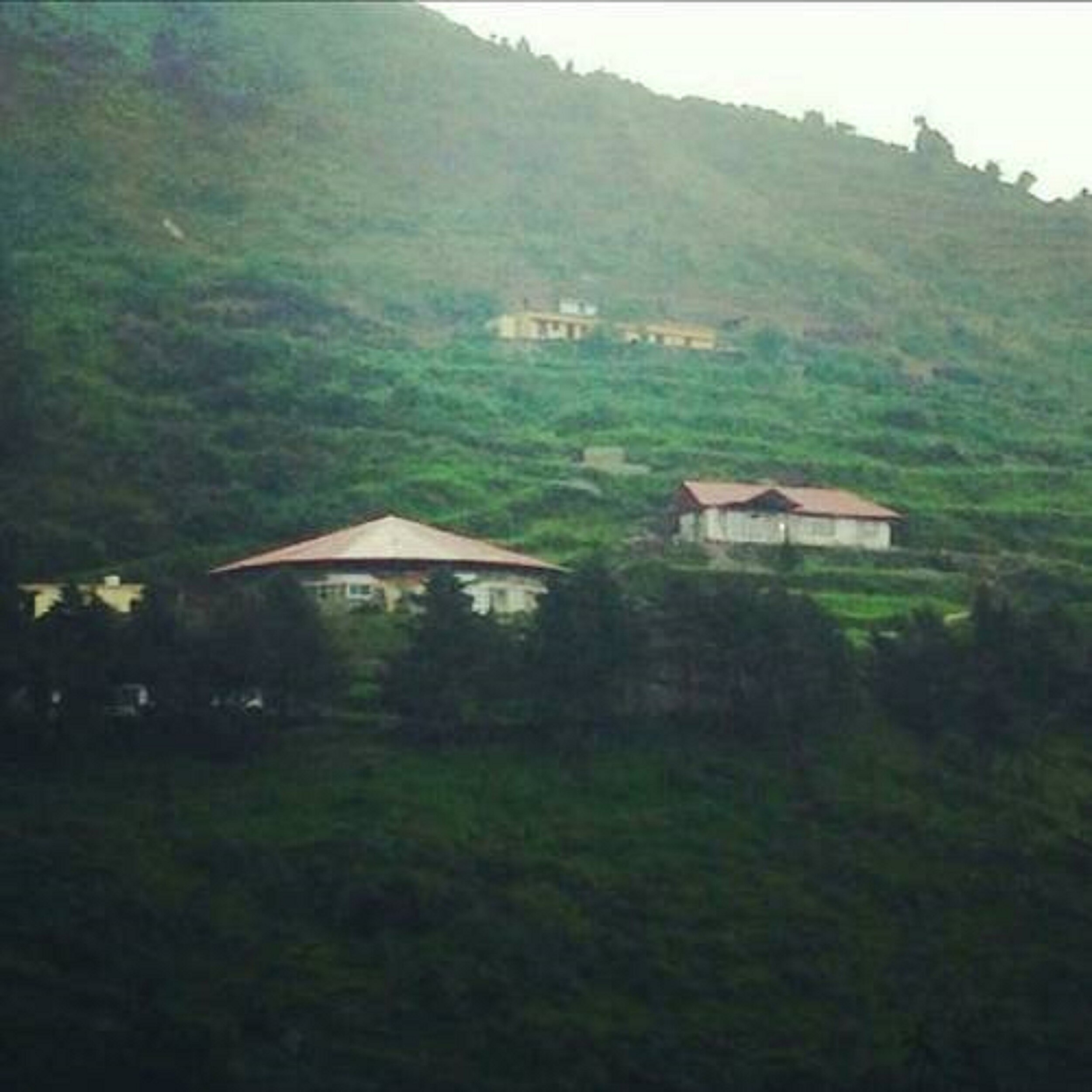 Sundays Forever King S Cottage Mussoorie Villa Price Address