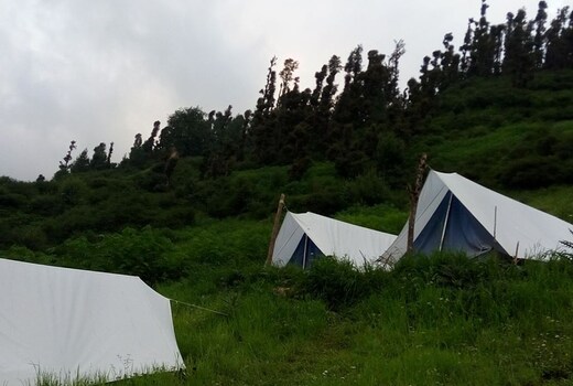 negi waichin camping kasol free cancellation price address reviews