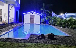 Swimming Pool 1