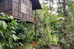 Lo Adoro Tree House Tourist Homestays, Wayanad