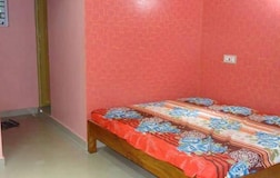 Single Bed In Dormitory