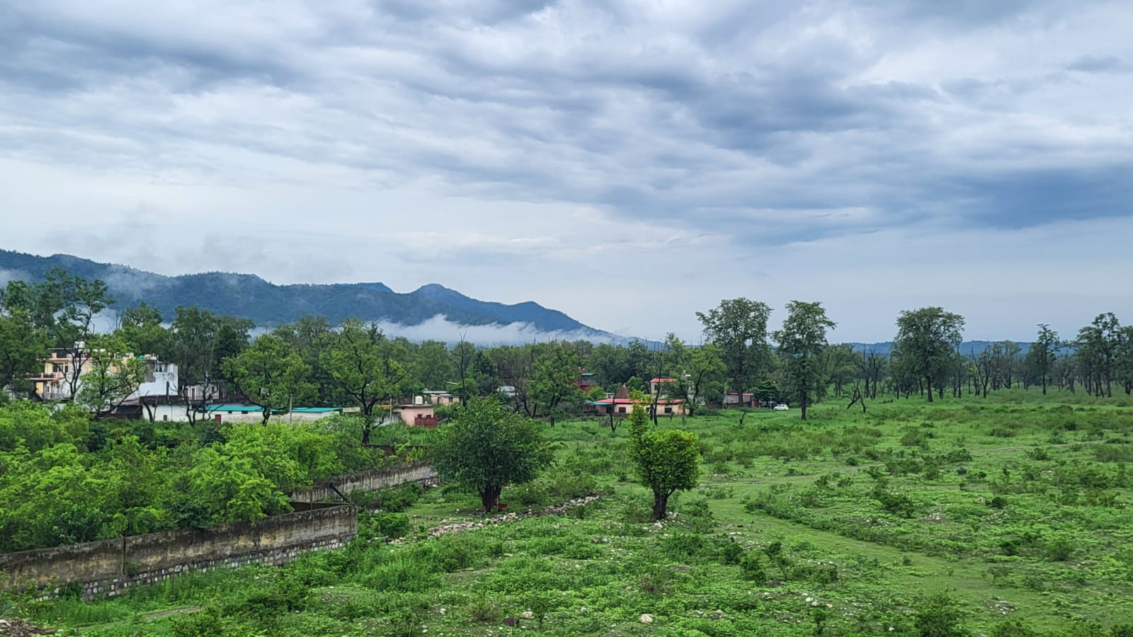 Vedanjana Yoga and Ayurveda Wellness Centre - Tap to explore photos