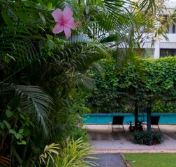 Swimming Pool 1