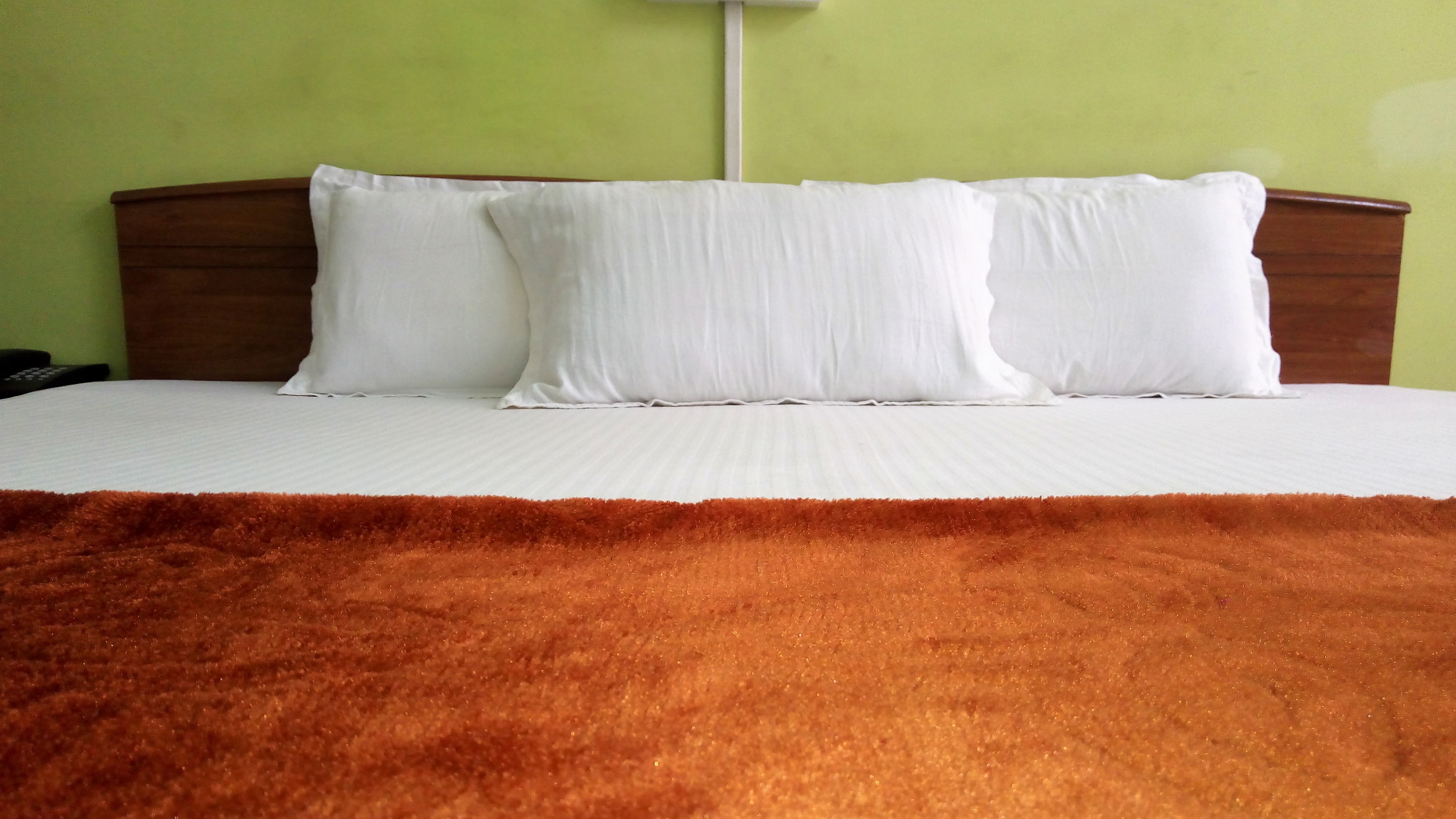 HOTEL BIBHUTI VIHAR - Tap to explore photos