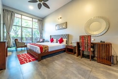 Zense Candolim, Goa