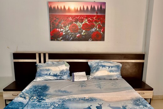 3Bhk Elite Retreat 2km from Airport -401