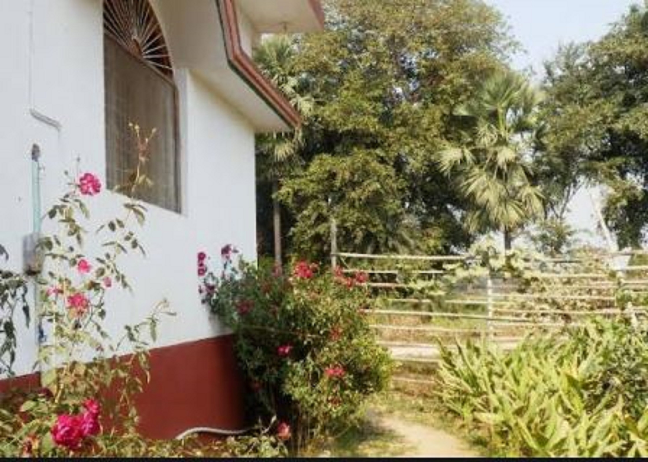 Senamura Yoga Ashram Guesthouse - Tap to explore photos