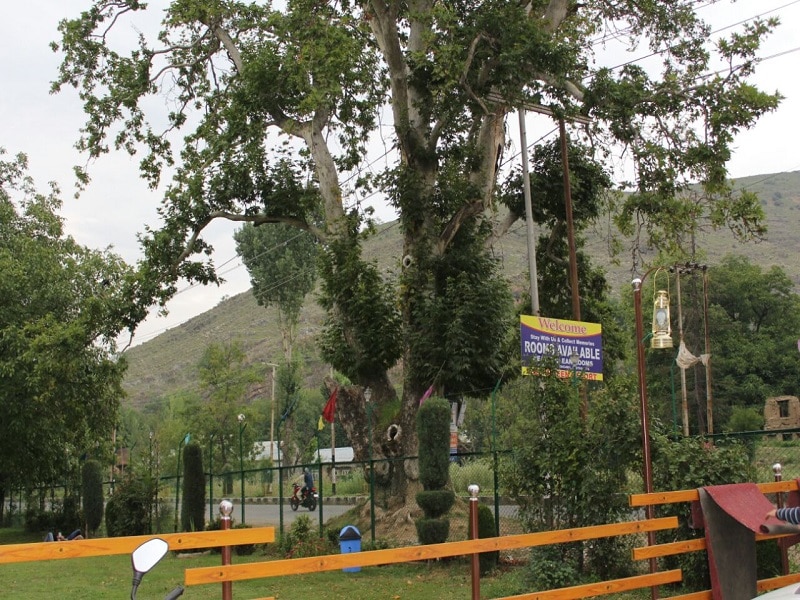 Evergreen Resorts - Tap to explore photos