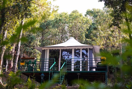 Apricot | Luxury Tent Retreat in Majkhali