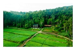 Vayal Veedu, Wayanad