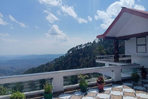 Green Palms Rubystone Exotic