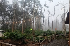 Antelope wild stays, Wayanad