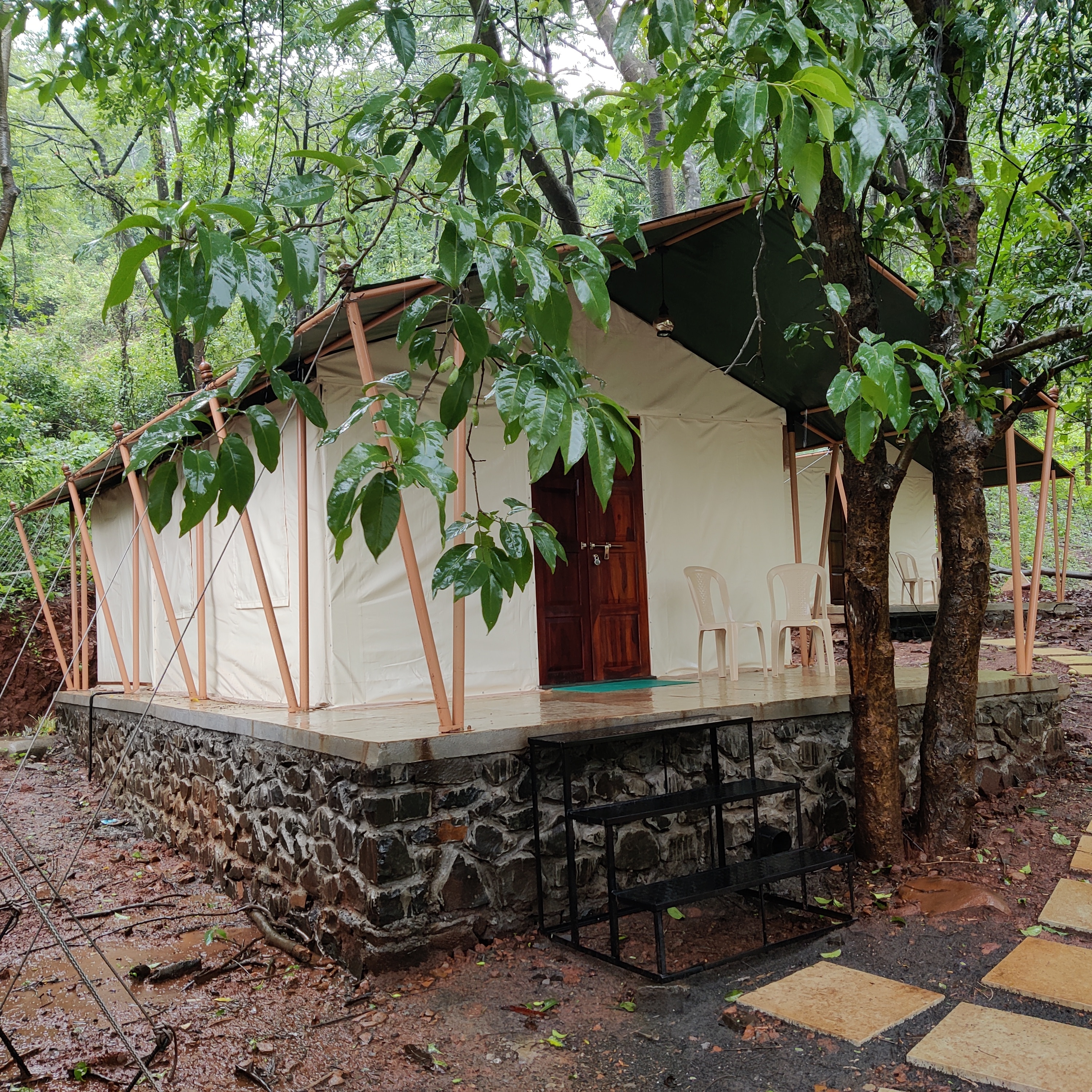 Exotic Stay 4