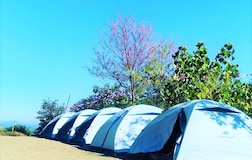 Tent 2