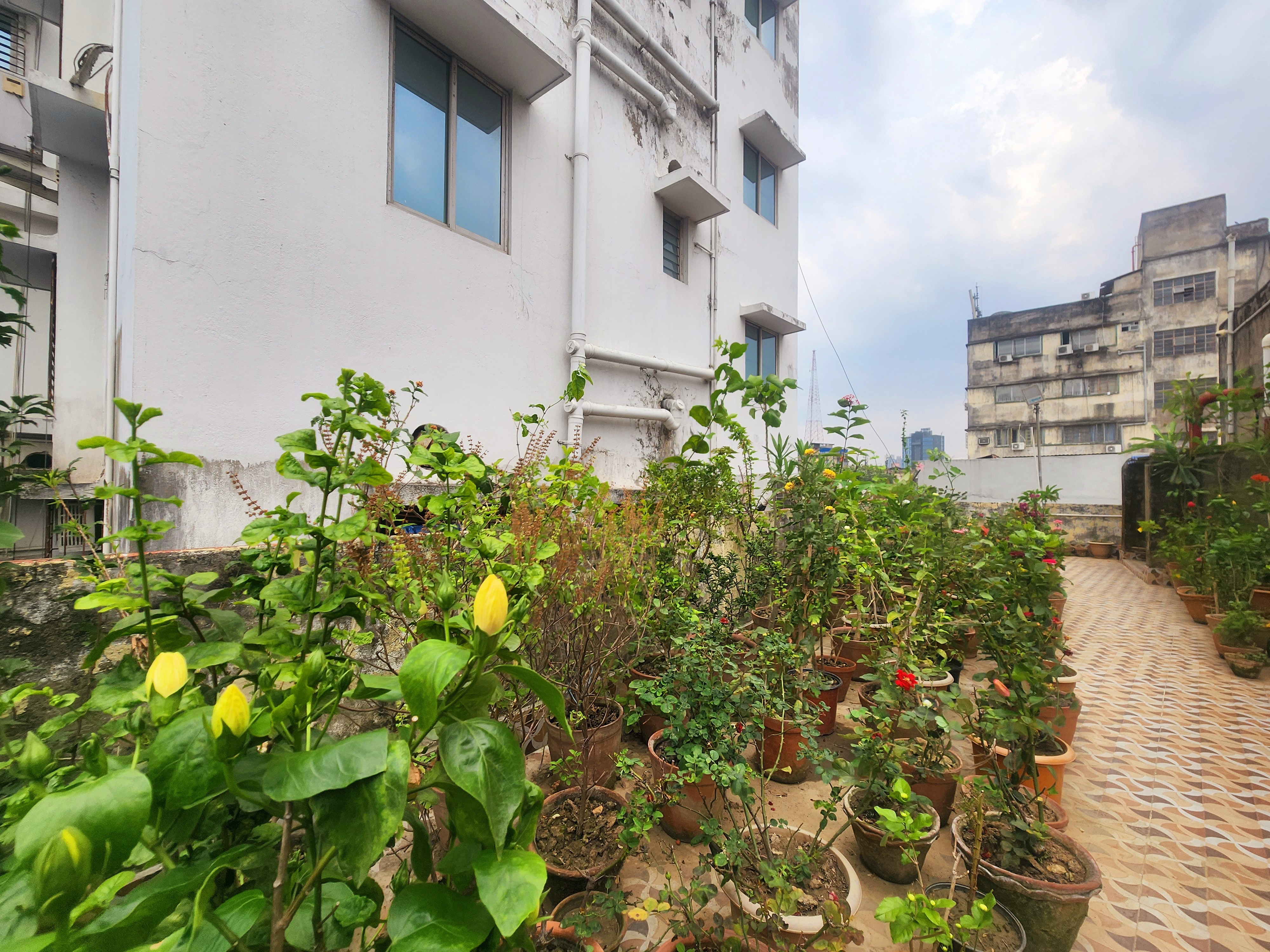 Sonali Guest House - Tap to explore photos