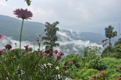 Living Roots Lodge Homestay, Cherrapunji
