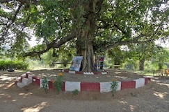 Banyan Tree Resort, Pench