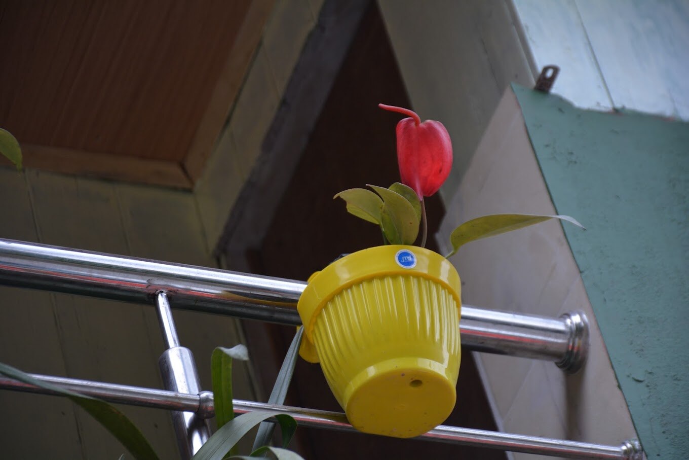 Singdan Homestay - Tap to explore photos