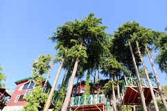 The Mysterious Hills, Kufri