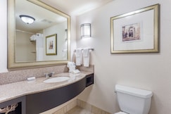 HILTON GARDEN INN GAINESVILLE, Gilmer