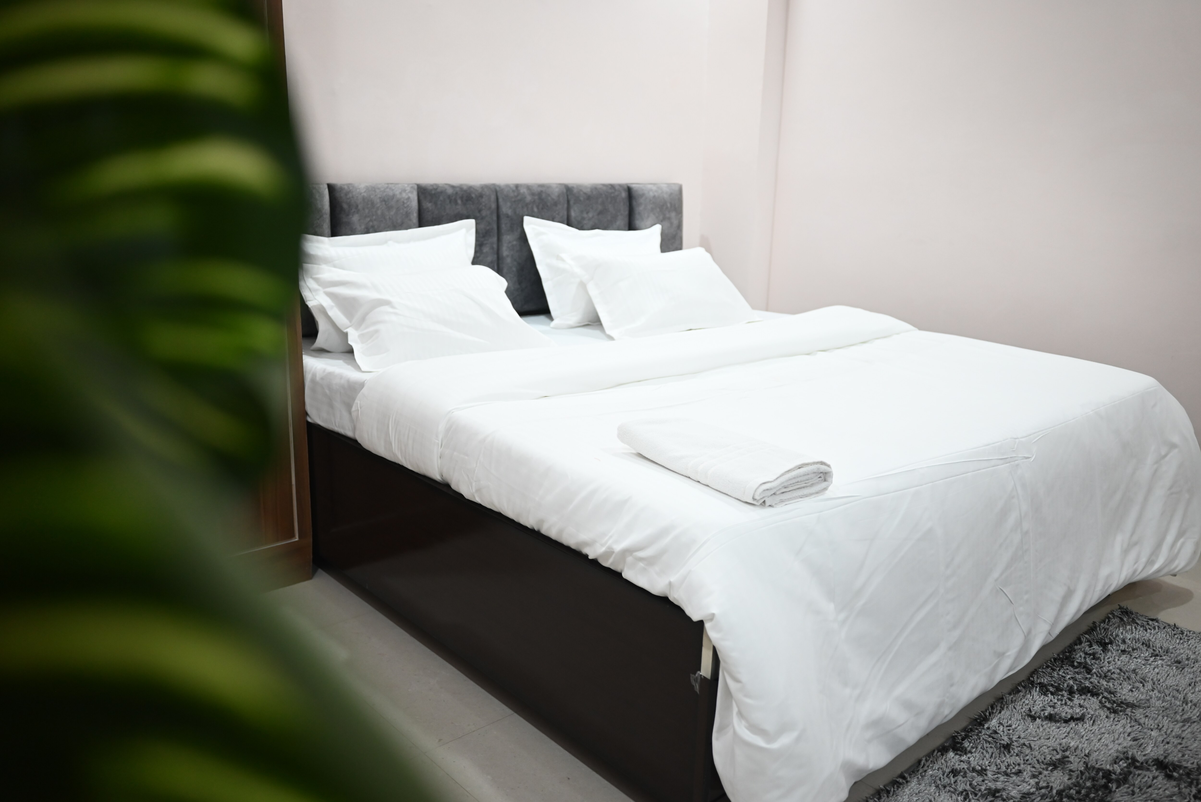 Bk homestay - Tap to explore photos