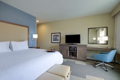Hampton Inn by Hilton Snyder TX, Scurry