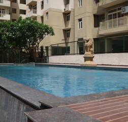 Swimming Pool 3