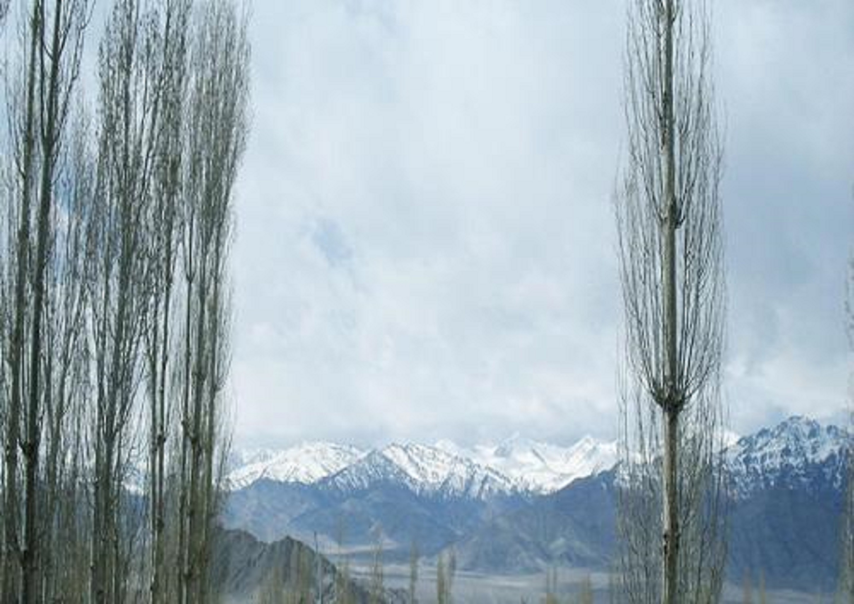 Hotel Sky Desert Ladakh - Tap to explore photos