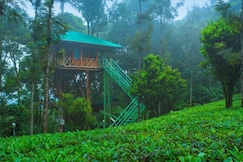 Dream Catcher Plantation, Kodaikanal