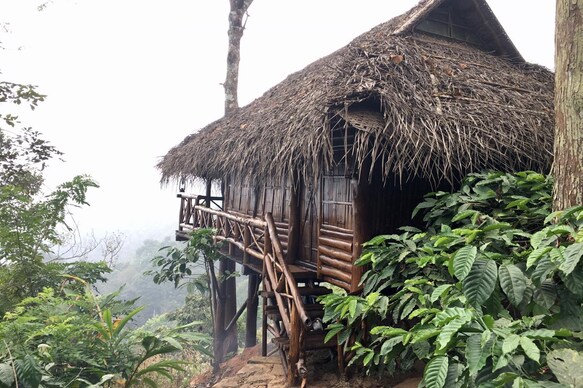 Cottages Near Bandipur National Park Book 11 Cottages Near Bandipur National Park Starts 1974 Cottages Near Bandipur National Park Book 11 Cottages Near Bandipur National Park Starts 1974