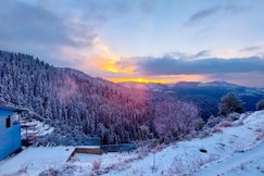 The Himalayan Deodar, Kanatal