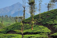 Lateatude The Bear's Lair, Wayanad