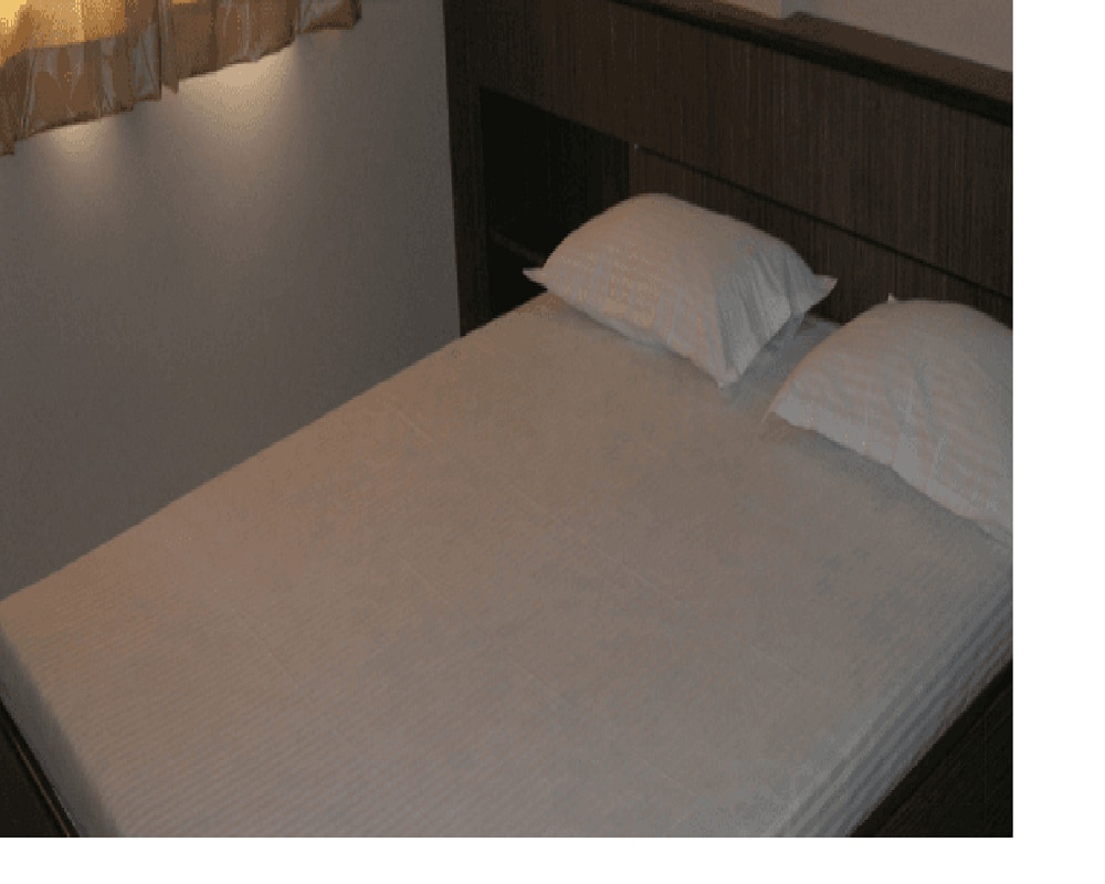 Hotel Padmalaxmi 4