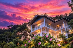 Nature Harmony, Munnar