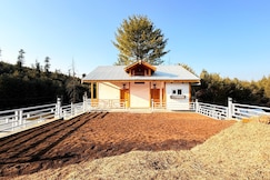 Pear Meadows, Gulmarg