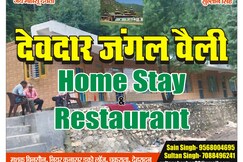 Devdar Jungle Valley