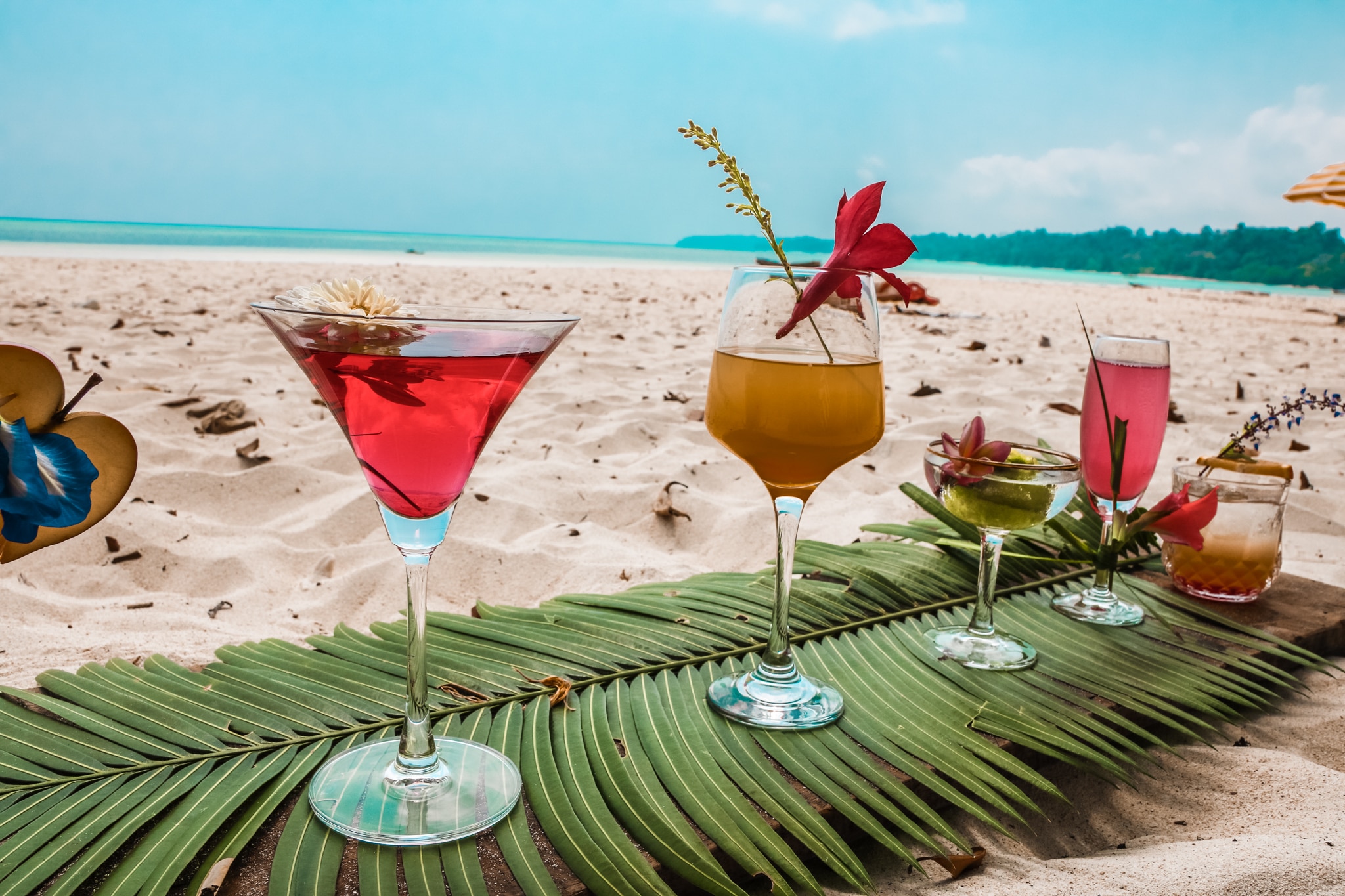 Munjoh Ocean Resort Havelock Resort, FREE Cancellation*, Price, Address &amp; Reviews