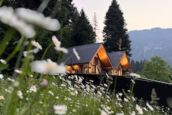 Solomons Gray, Gulmarg