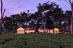 Grasshopper Acacia Eco Resort, Jaldapara