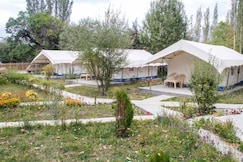 Apple Nubra Cottage, Pangong