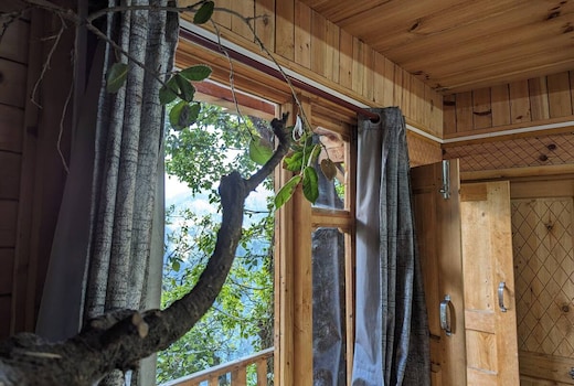 Magpie Treehouse Tandi Jibhi