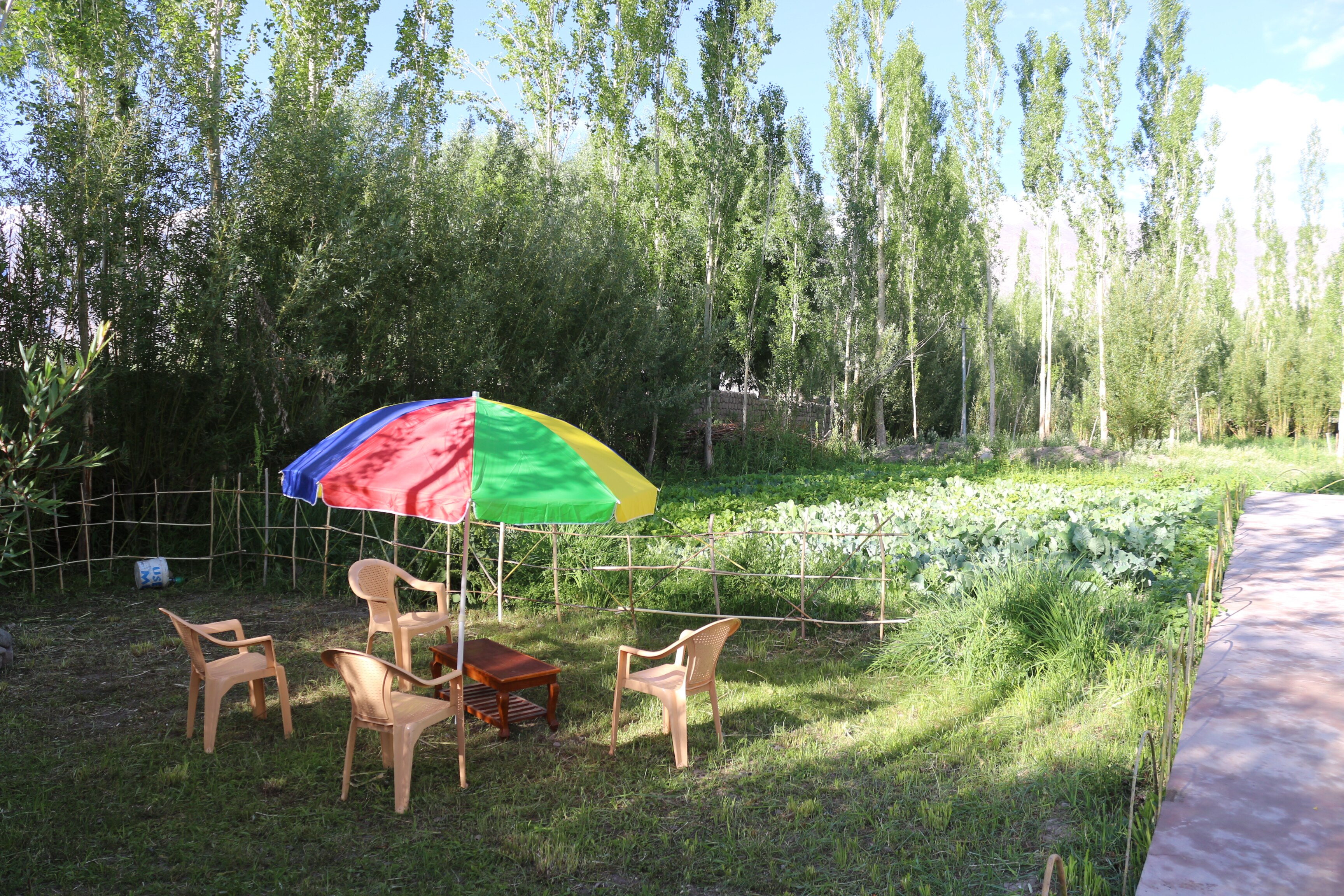 amir homestay ladakh - Tap to explore photos
