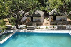 The Choclate Frog Udaipur, Udaipur