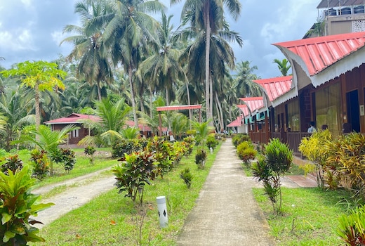 Havelock Beach Huts & Packages