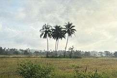 Titus Lake Villa, Goa
