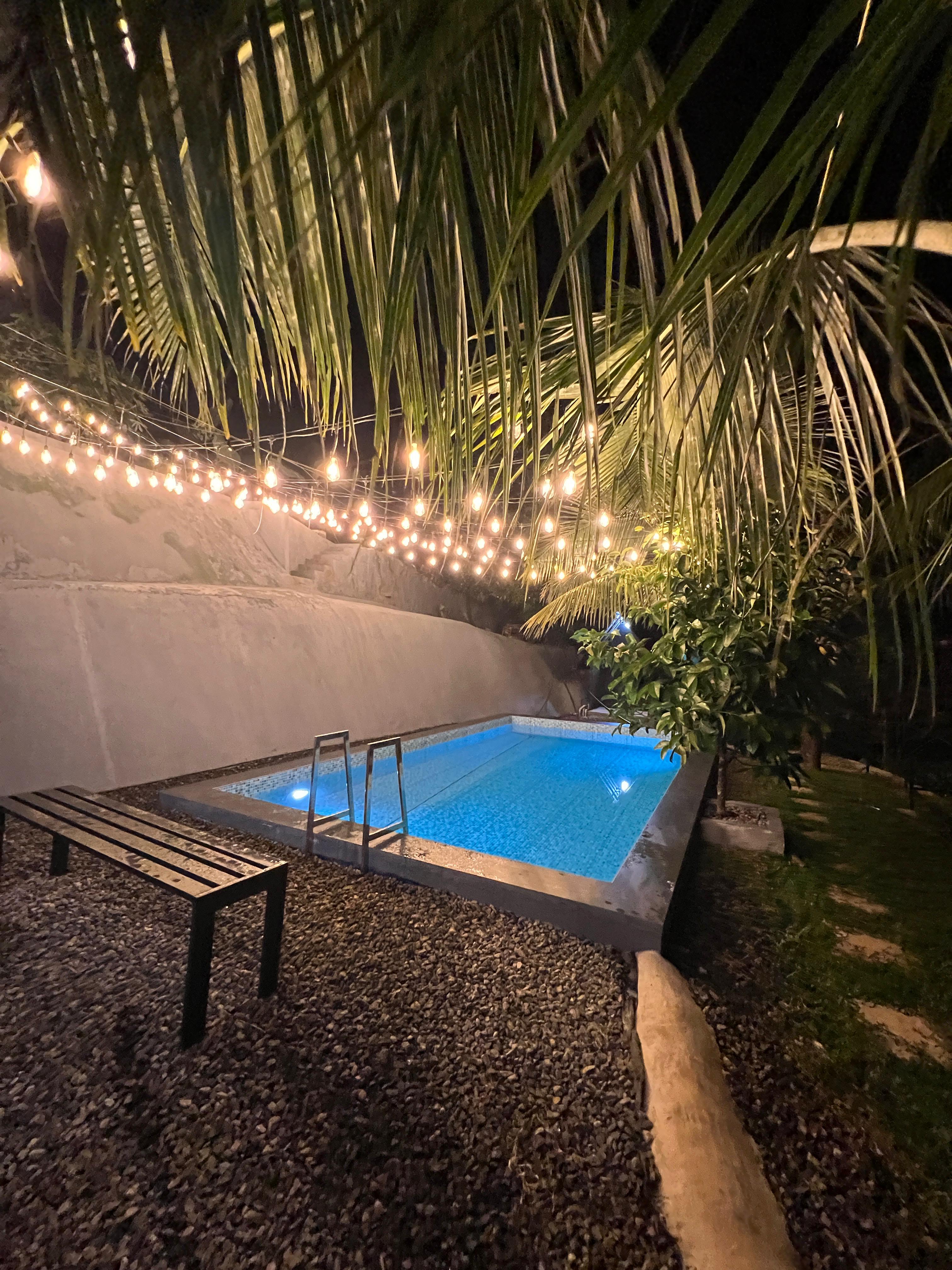 Palm Paradise Homestay  Adimali  Munnar - Tap to explore photos