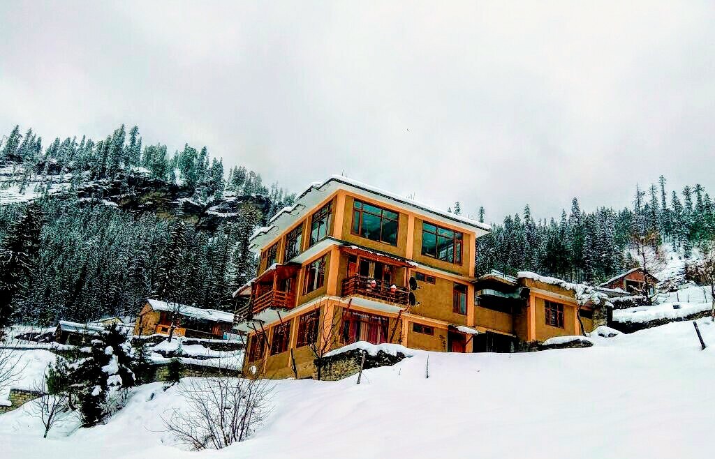 The Apple Tree Manali Inr 550 Off 2 2 0 0 Hotel Price