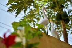 Sunil Residency Annex, Coimbatore